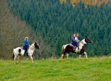 Reiten auf Lady und Kaija